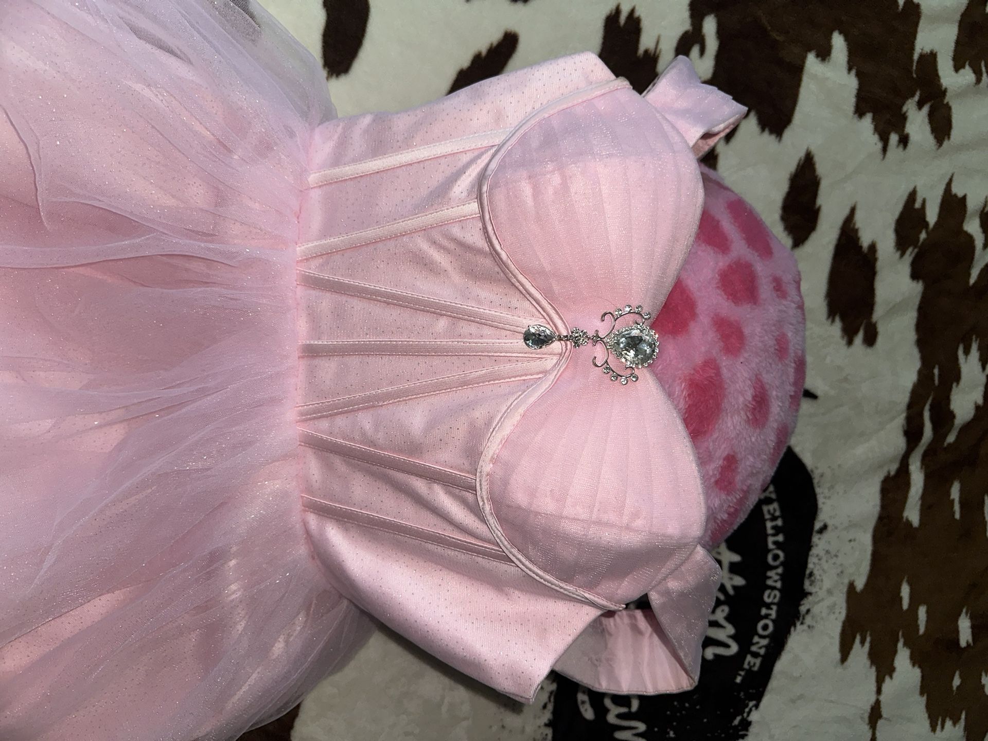 Light Pink Party Dress (size 4 women)