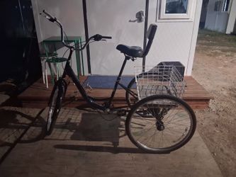 Adult Tricycle with Rear Basket