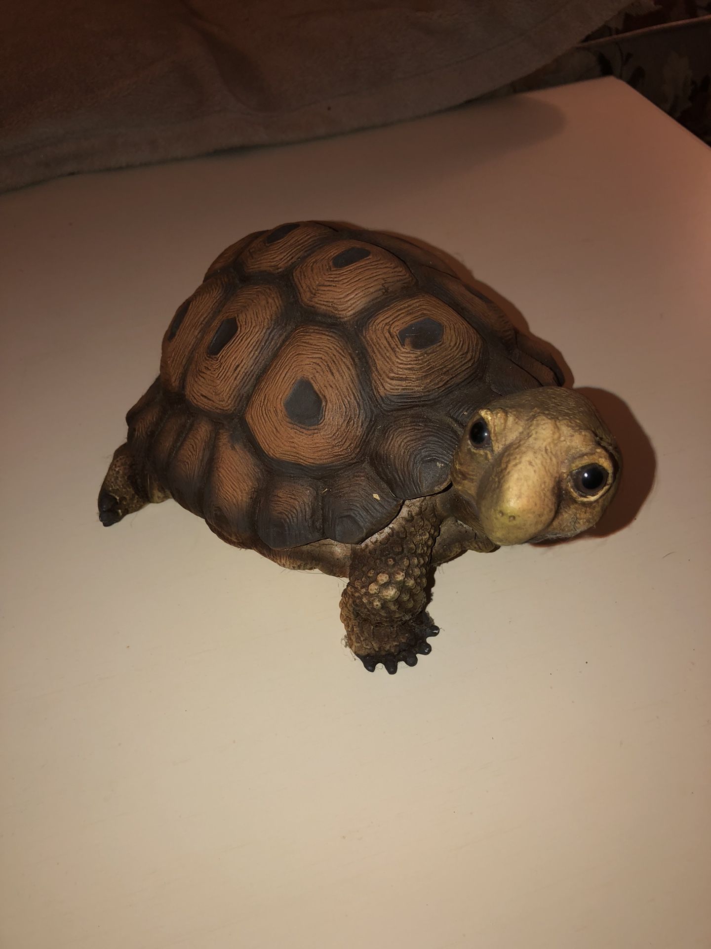 Decorative NOT REAL turtle 
