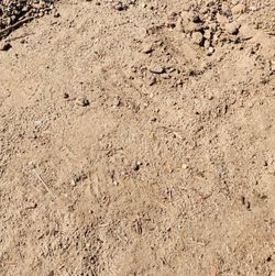 Free clean dirt