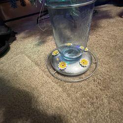 Humming Bird Glass Feeder 