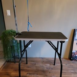 Dog Grooming Table