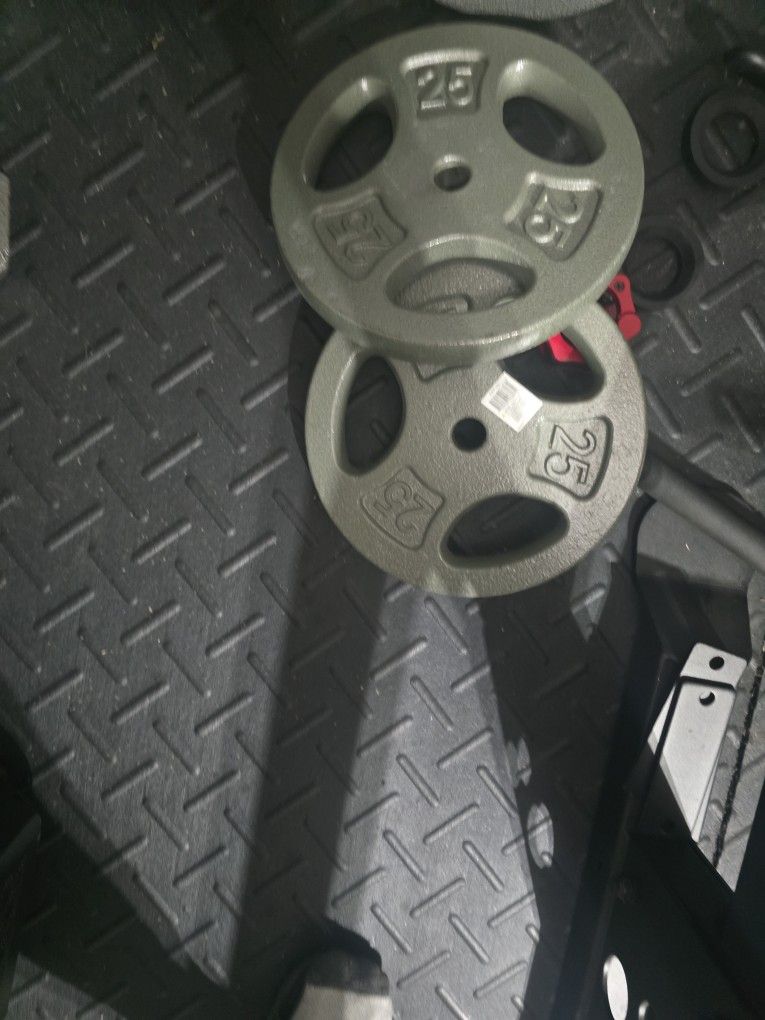 2x 25lb Weight Plate