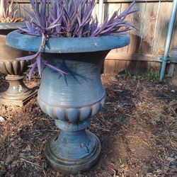 Very Nice Garden Planter With Succulent 