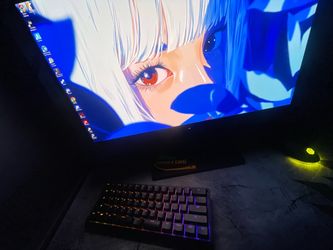 240hz OLED monitor