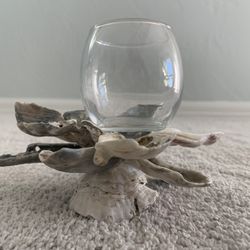 Oyster Shell Candle Holders