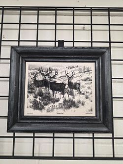 Framed Deer Print "Members Only" by Cynthia Fisher