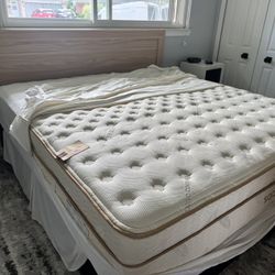 DELIVERY 🚚 King Size Saatva Mattress Bed Box And Frame W/ Head Board 