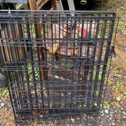 48foot By2 Foot Tall Kennel 