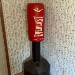 Everlast Punching Bag 