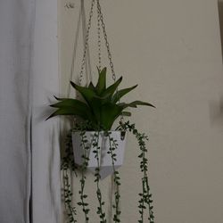 Fake hanging plant 