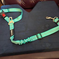Cat/Dog Safety Seat Belt