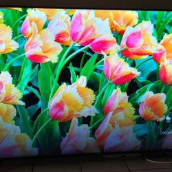 75inch Philips 4K TV $425 OBO