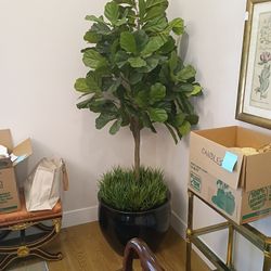 Large High-End Artificial Fiddle Leaf Fig Tree - White House Design Studio -7ft-