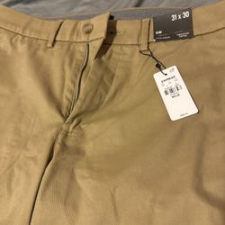 Express Dress Pants
