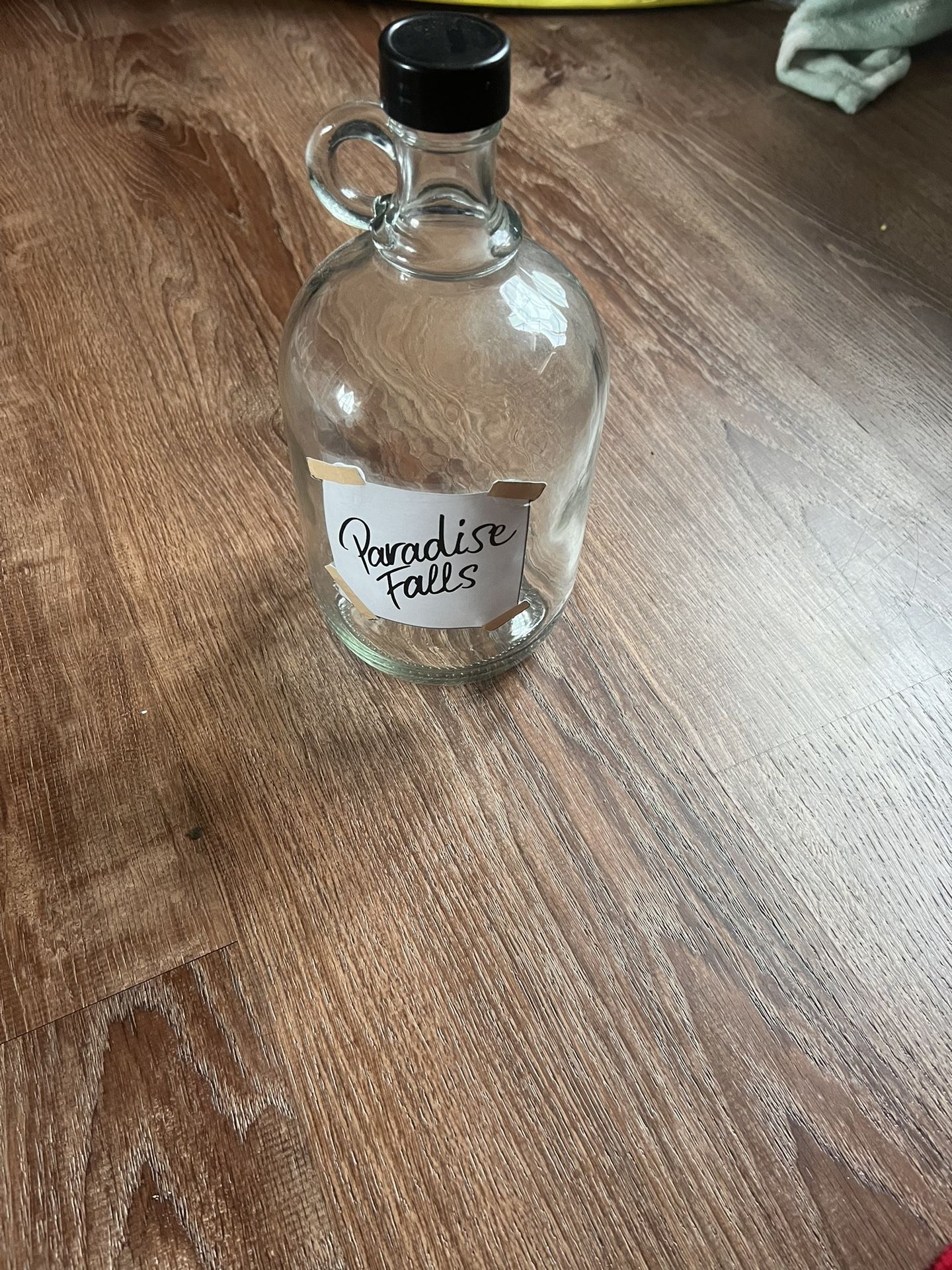 Paradise Falls Disney Up Jar