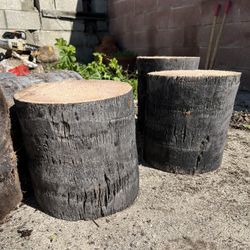 Beautiful Natural Plant Stands For Your Garden Decoration