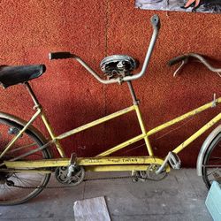 Schwinn Deluxe Twinn 1971 