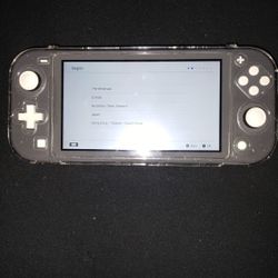Nintendo Switch Lite