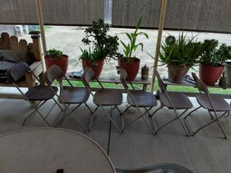 Foldable chairs