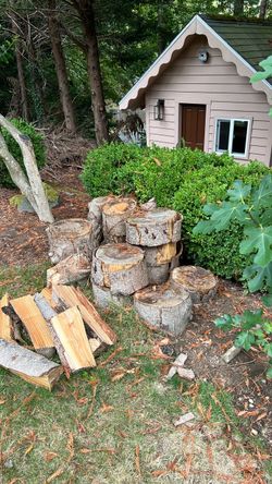 Firewood (fire wood)