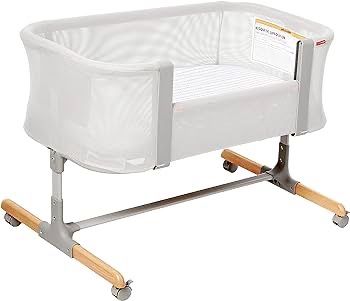 Skip Hop Bassinet