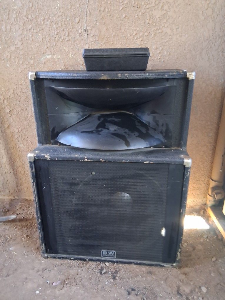 Peavey Speaker