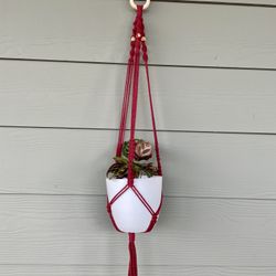 Macrame Plant Hanger