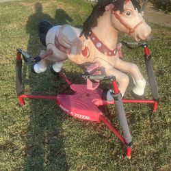 Kids bouncy pony