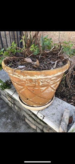 15 Gallon Flower Pot