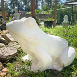 Concrete Frog