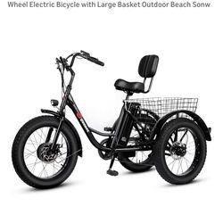 Electric Trike 