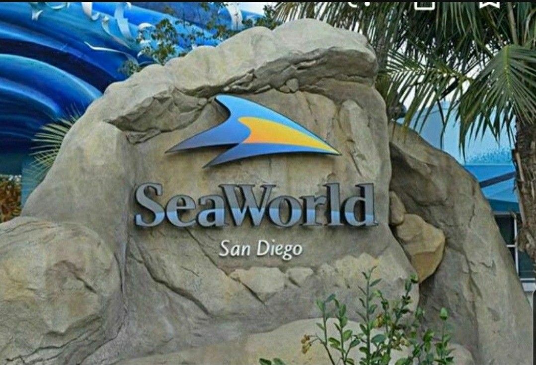 sea world san diego seaworld for Sunday June 15 and 16th only