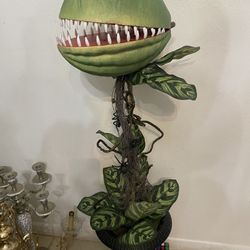 Halloween Decoration