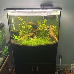 36 Gallon Tank