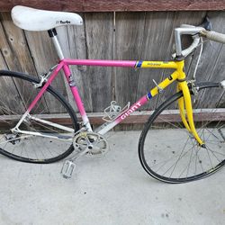 Giant RS950 road Bike