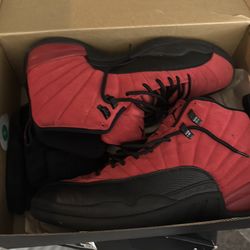 Air Jordan 12 retro