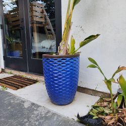 Ceramic POT planter 