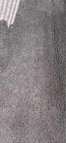 Light Gray Area Rug. Approximately 5’ by 7’ **READ BELOW (Johnstown Ohio)