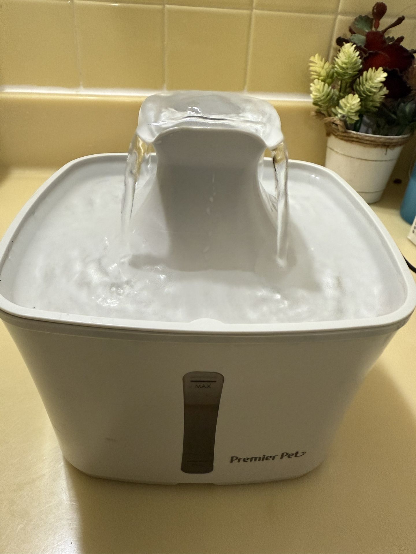 Water Fountain For Pets