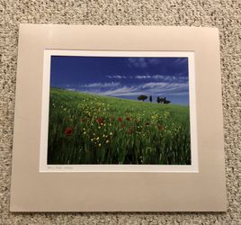 Scanlan Floral Photograph