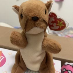 TY Nuts the Squirrel