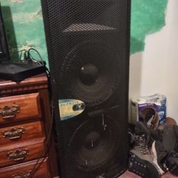 Av Double 15 Concert Speakers