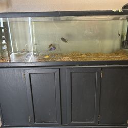 Fish Tank With Stand