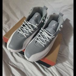 Brand New Jordan 12s Stealth Size 12