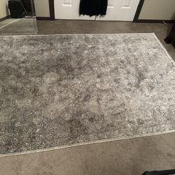 Sarrant Feizy 5x7 Rug