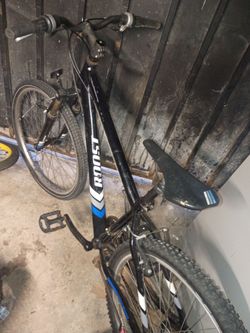 Roost Bike