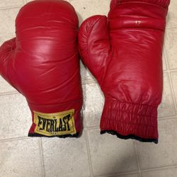 Size 12 Everlast Boxing Gloves 