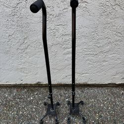 Two Canes With 4-point Base