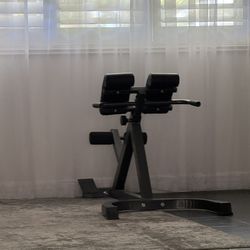 Workout Equipment (brand New) $60